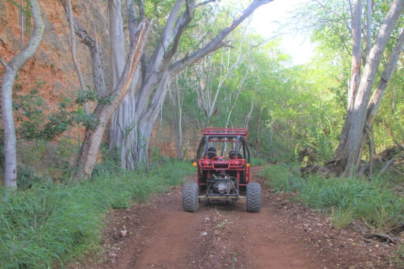 Oahu: Coral Crater Zipline and Offroad ATV Adventure - Safety and Gear Requirements