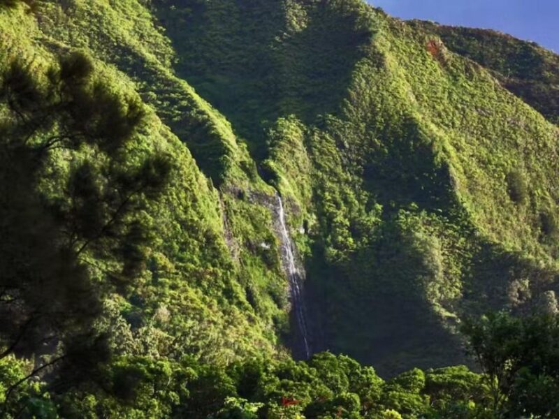 O'ahu: Custom Private Island Tour of Oahu - Booking and Contact Information
