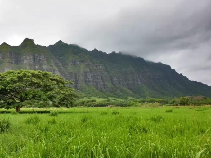O'ahu: Custom Private Island Tour of Oahu - Personalized Itinerary Tailored to Interests