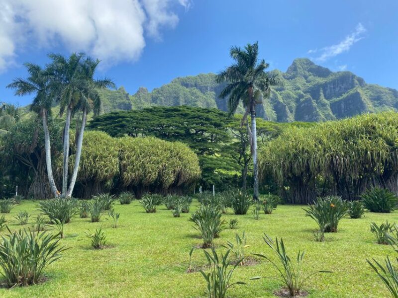 Oahu: Diamond Head Crater Hike and North Shore Experience - Participant Requirements and Restrictions