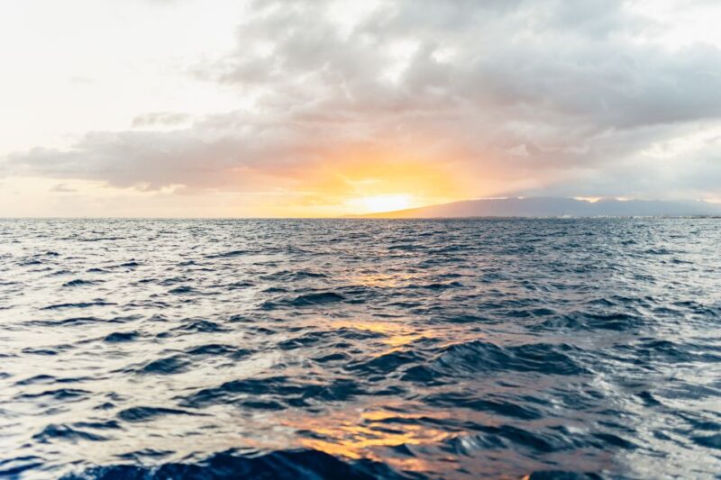 Oahu: Diamond Head Cruise With Drinks & Appetizers - Inclusions