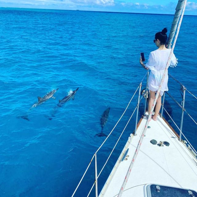 Oahu: Diamond Head Sail - Sightseeing Opportunities