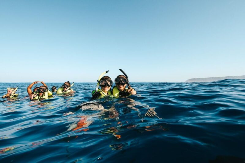 Oahu: Dolphin Swim and Snorkeling Speedboat Tour - Important Information
