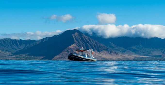 Oahu: Dolphin Swim and Snorkeling Speedboat Tour - Customer Reviews