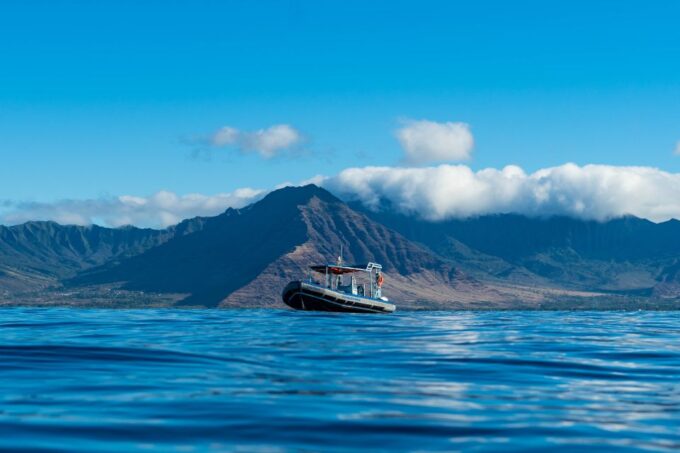 Oahu: Dolphin Swim and Snorkeling Speedboat Tour - Frequently Asked Questions