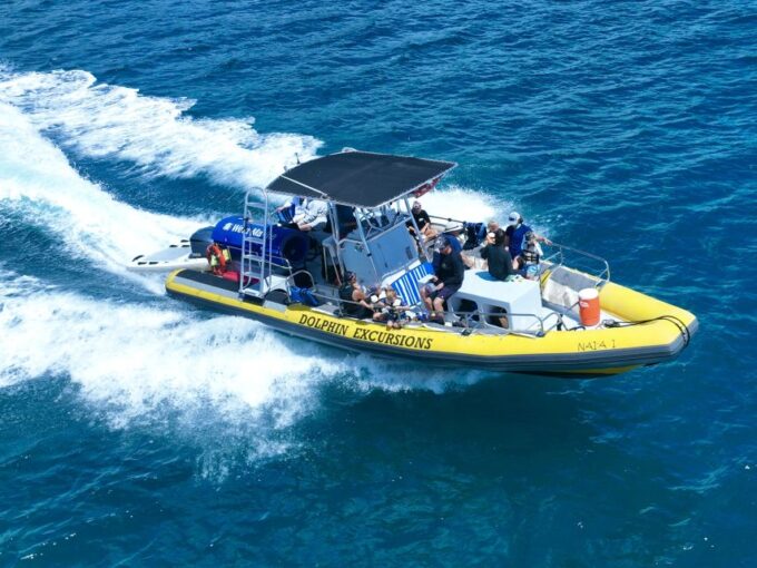 Oahu: Dolphin Swim and Turtle Snorkel Excursion in Waianae - Customer Feedback