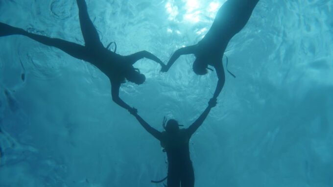 Oahu: Dolphin Watch, Turtle Snorkel, Waterslide Activities, - Complimentary Local Lunch