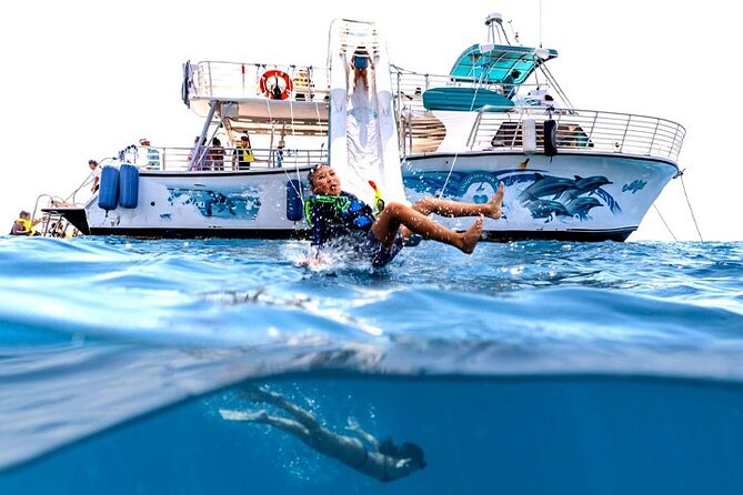 Oahu Dolphin Watch With Turtle Snorkel & Water Slide - Pickup and Meeting Details