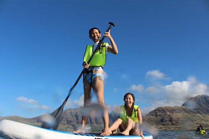 Oahu Dolphin Watch With Turtle Snorkel & Water Slide - Optional Add-Ons