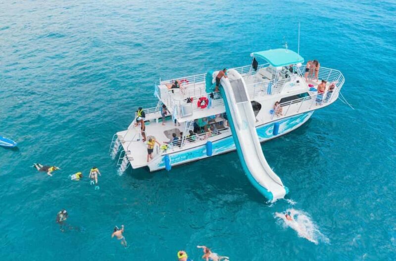Oahu: Dolphin Watching & Turtle Snorkeling with Waterslide - Key Points