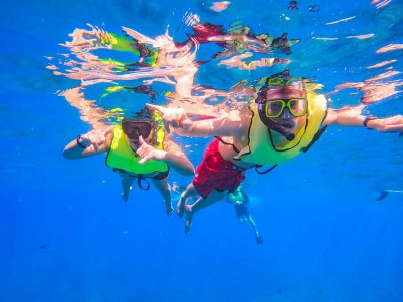 Oahu: Dolphin Watching & Turtle Snorkeling with Waterslide - Final Thoughts: Who Is This Tour For?