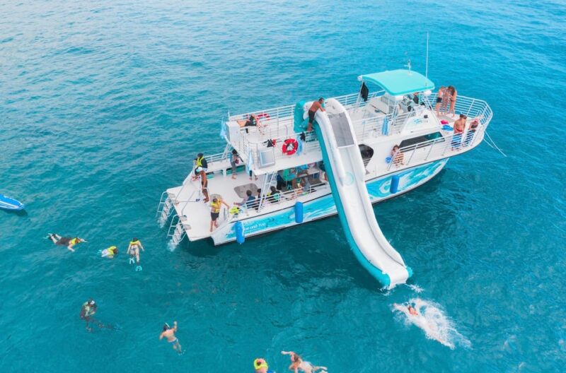 Oahu: Dolphin Watching & Turtle Snorkeling With Waterslide - Key Points