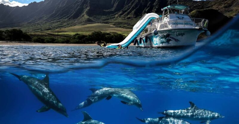 Oahu: Dolphin Watching & Turtle Snorkeling With Waterslide - Pickup and Drop-off Locations