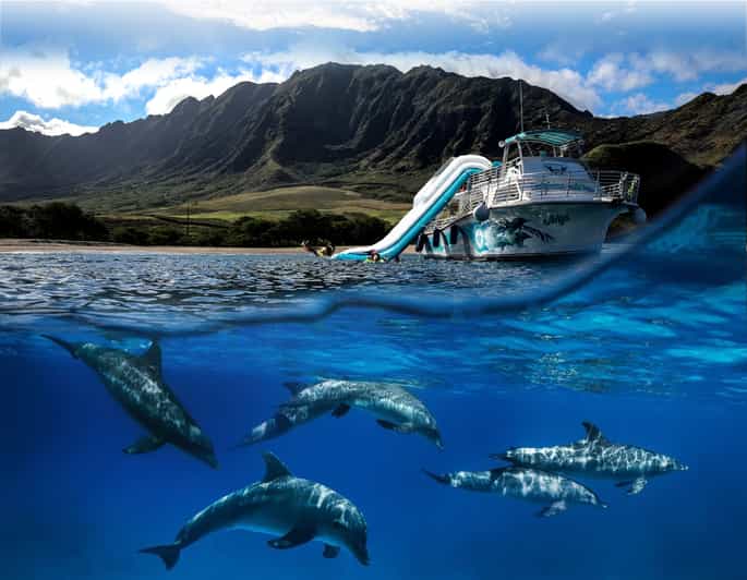 Oahu: Dolphin Watching & Turtle Snorkeling With Waterslide - Itinerary Breakdown