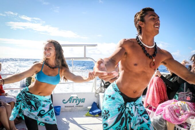 Oahu: Dolphin Watching & Turtle Snorkeling With Waterslide - Lunch Options and Offerings