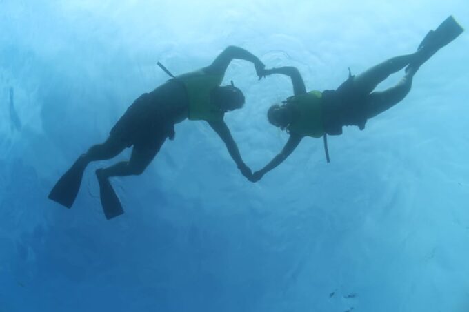 Oahu: Dolphin Watching & Turtle Snorkeling With Waterslide - Frequently Asked Questions