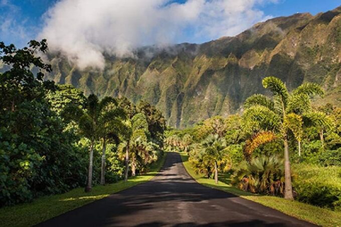Oahu East Coast to Mountain Tour - Frequently Asked Questions