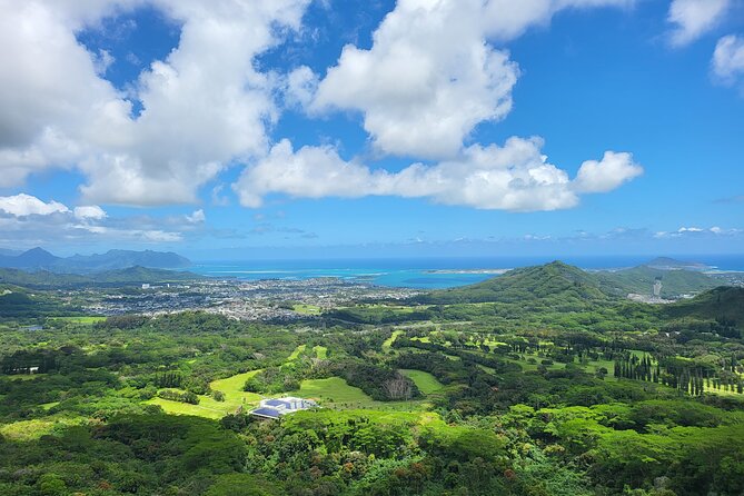 Oahu Fun Circle Island Tour With Pickup - Discovering Dole Plantation