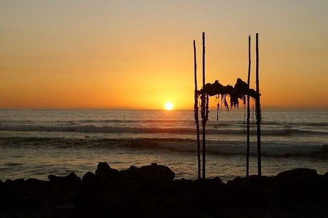Oahu Grand Circle Island Experience From Waikiki - What to Bring for the Tour
