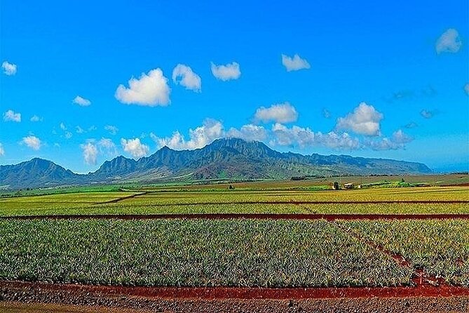 Oahu Grand Circle Island Experience From Waikiki - Local Insights From Your Guide
