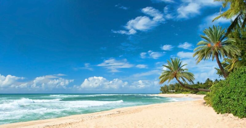 Oahu: Guided Tour of North Shore and Waimea Botanical Garden - Waimea Botanical Garden