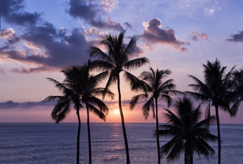 Oahu: Half-Day Sunset Photo Tour From Waikiki - Key Points