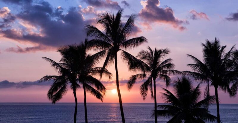 Oahu: Half-Day Sunset Photo Tour From Waikiki - Experience and Highlights
