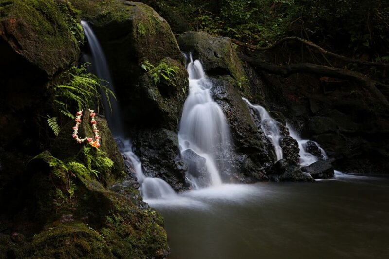 Oahu: Half-Day Sunset Photo Tour From Waikiki - Customer Feedback
