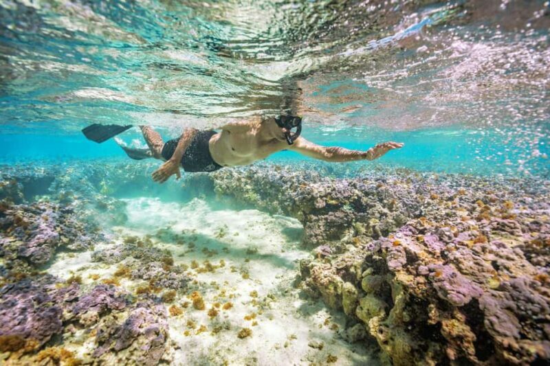 Oahu : Hanauma Bay Admission Ticket+Equipment Rental - An In-Depth Look at the Hanauma Bay Experience