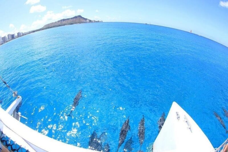 Oahu Hawaii: Honolulu Sailing Tour - Crew and Services