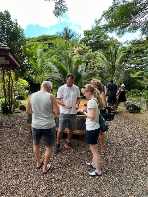 Oahu: Highlights of Oahu Small Group Tour - Hanauma Bay and Halona Blowhole