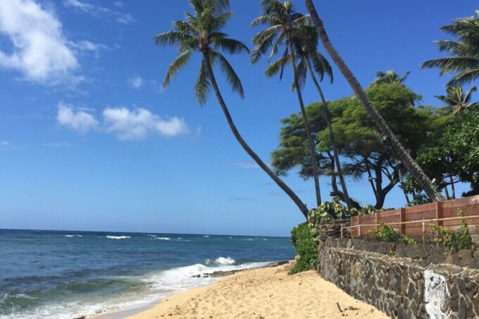 Oahu: Highlights of Oahu Small Group Tour - Frequently Asked Questions