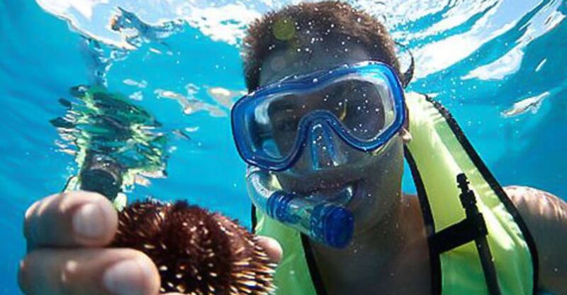 Oahu: Hilton Hawaiian Village Snorkel Tour - Experience Highlights
