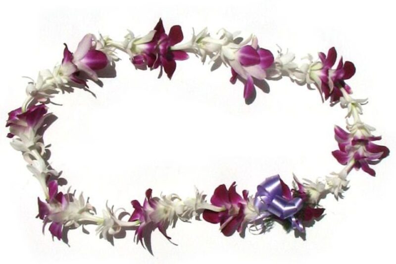 Oahu: Honolulu Airport (HNL) Traditional Lei Greeting - Booking and Cancellation Policy