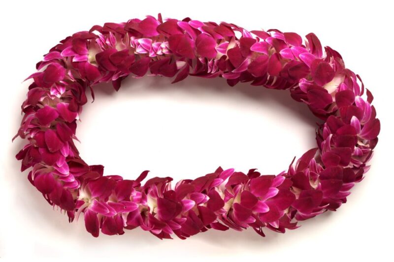 Oahu: Honolulu Airport (HNL) Traditional Lei Greeting - Accessibility and Group Options