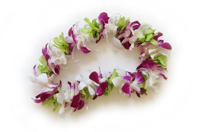 Oahu: Honolulu Airport (HNL) Traditional Lei Greeting - Unique Customer Stories