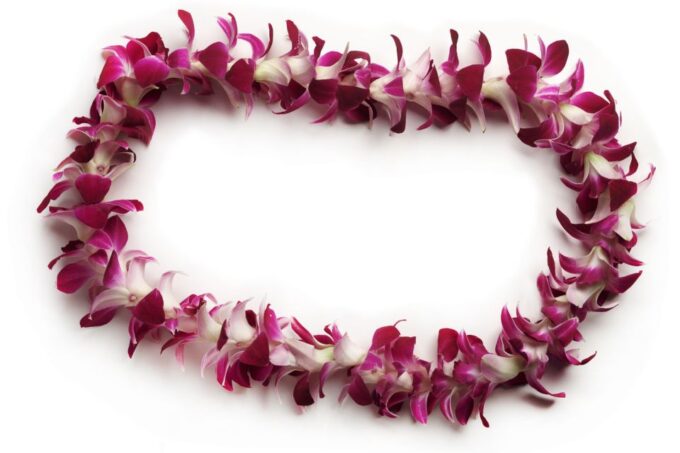 Oahu: Honolulu Airport (HNL) Traditional Lei Greeting - Key Highlights of the Offering