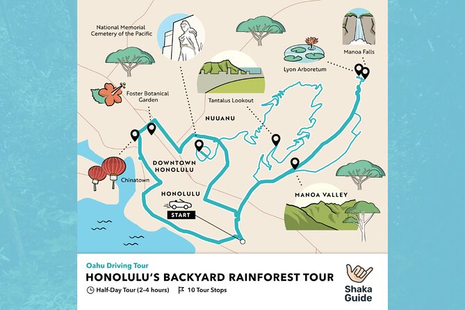Oahu: Honolulus Backyard Rainforest Driving Tour - Tour Logistics