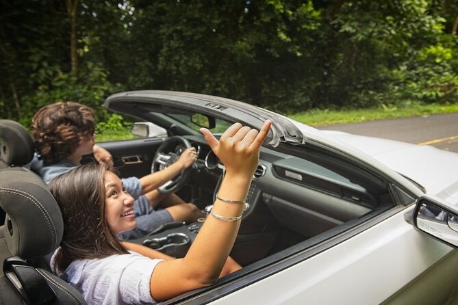 Oahu: Honolulus Backyard Rainforest Driving Tour - Customer Feedback