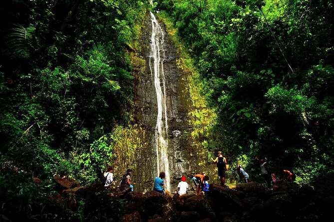Oahu: Honolulus Backyard Rainforest Driving Tour - Exploring the Rainforest