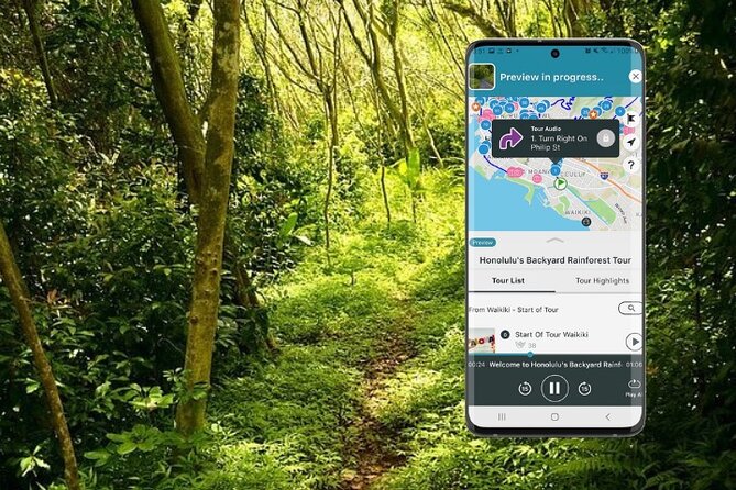Oahu: Honolulus Backyard Rainforest Driving Tour - Tour Logistics