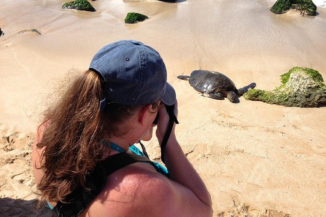 Oahu Island Photography Tour - Photography Concepts