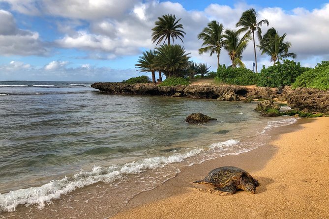Oahu Island Photography Tour - Tour Logistics