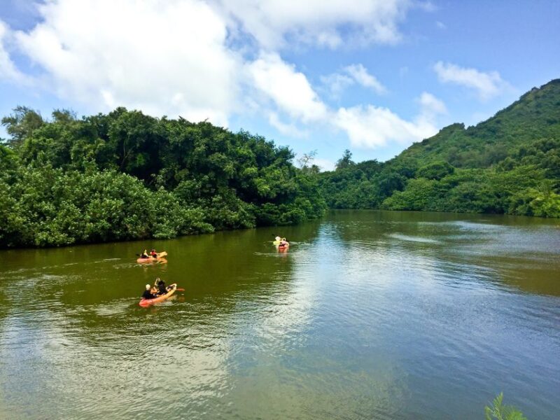Oahu: Kahana Rainforest River 4-Hour Kayak Rental - Kayak Rental Details