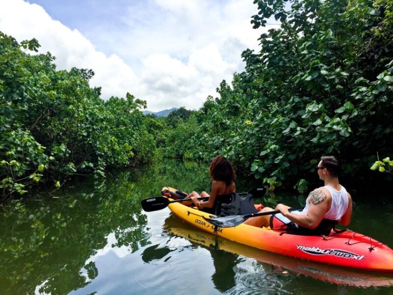 Oahu: Kahana Rainforest River 4-Hour Kayak Rental - Route Options