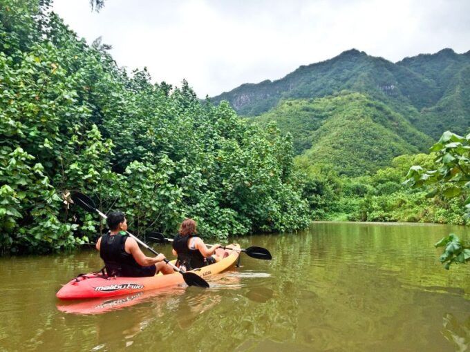 Oahu: Kahana Rainforest River 4-Hour Kayak Rental - Customer Feedback