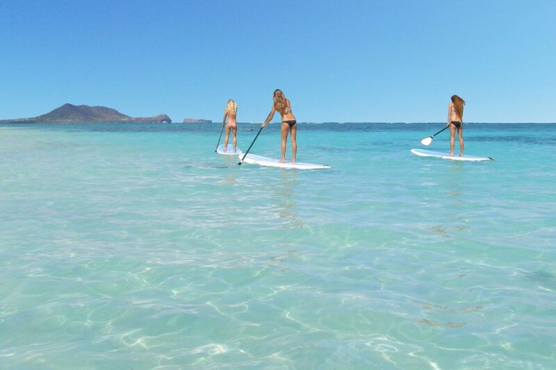Oahu: Kailua Stand Up Paddle Board Lesson - Experience Highlights