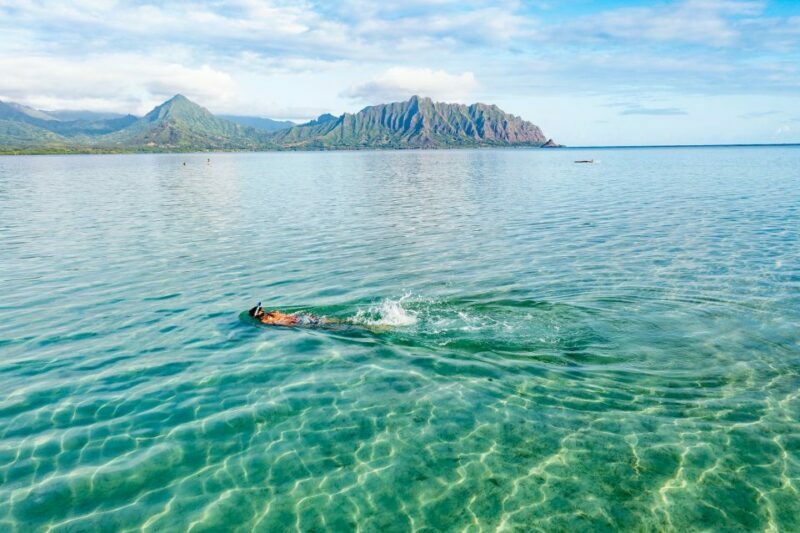 Oahu: Kaneohe Bay Coral Reef Kayaking Rental - Practical Tips for Your Kayaking Adventure
