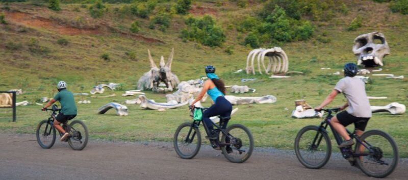 Oahu: Kualoa Electric Bike Tour - Key Points