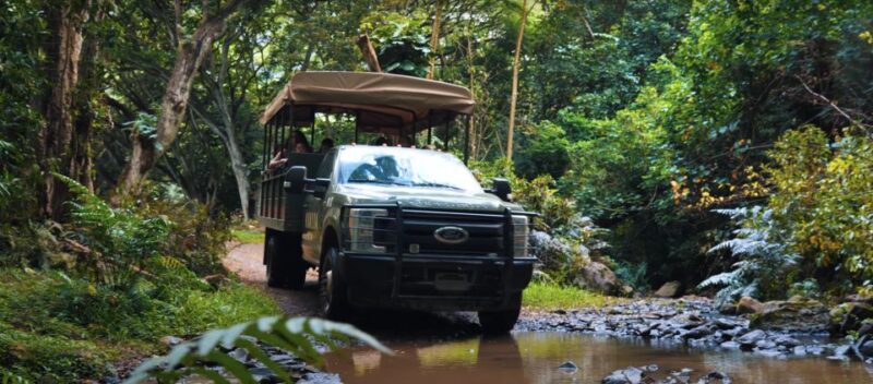 Oahu: Kualoa Open Air Jungle Expedition Tour - Included and Not Suitable For